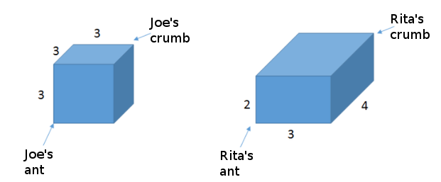 both cuboids