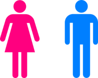 Boys and Girls